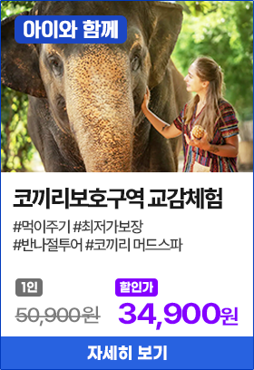 코끼리보호구역 교감체험